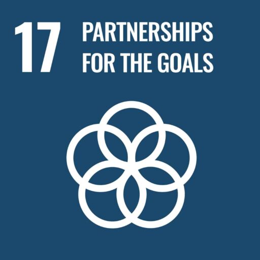 17 - SDG